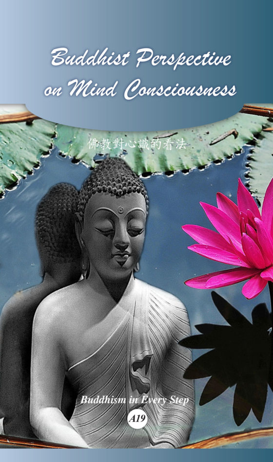 Buddhist Perspective On Mind Consciousness - Buddhist Publications | Fo ...